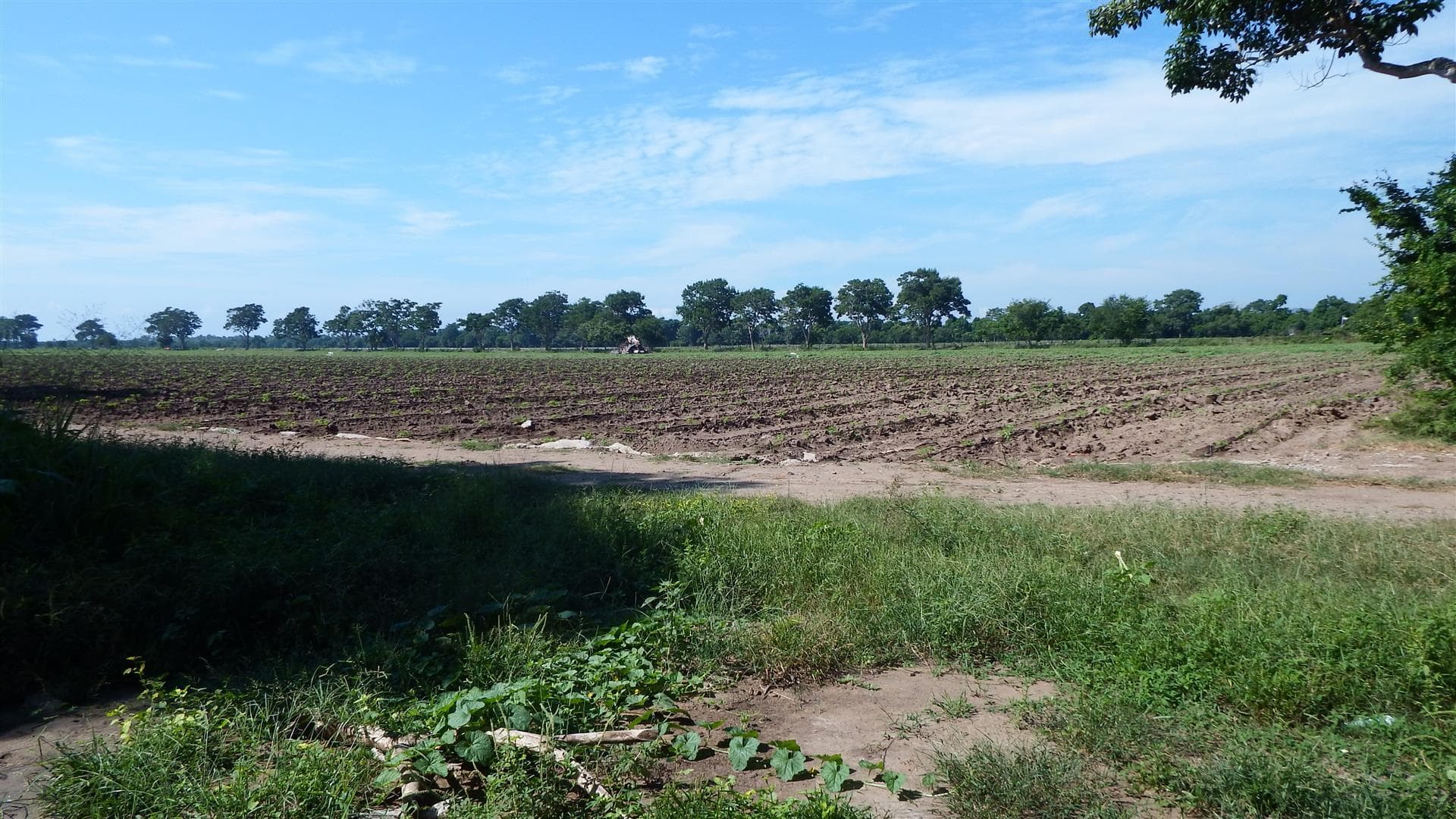 Lote 1 y 2 Carretera 200 13