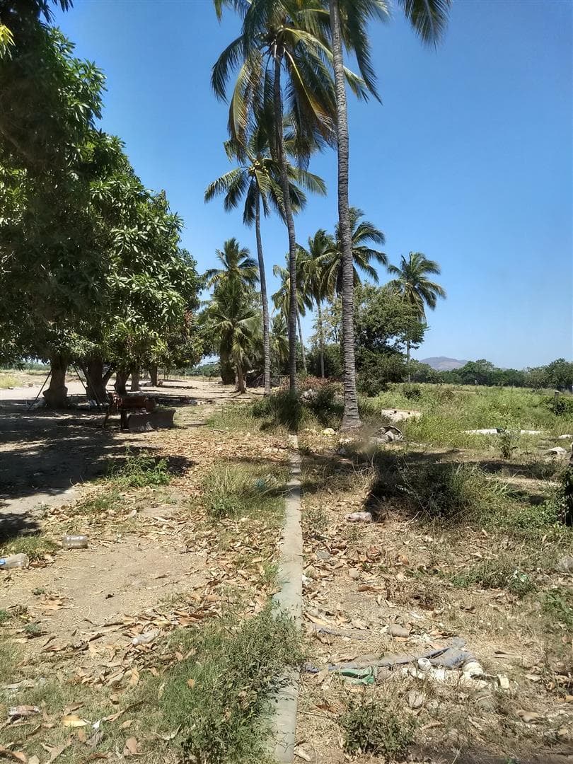 Lote 1 y 2 Carretera 200 15