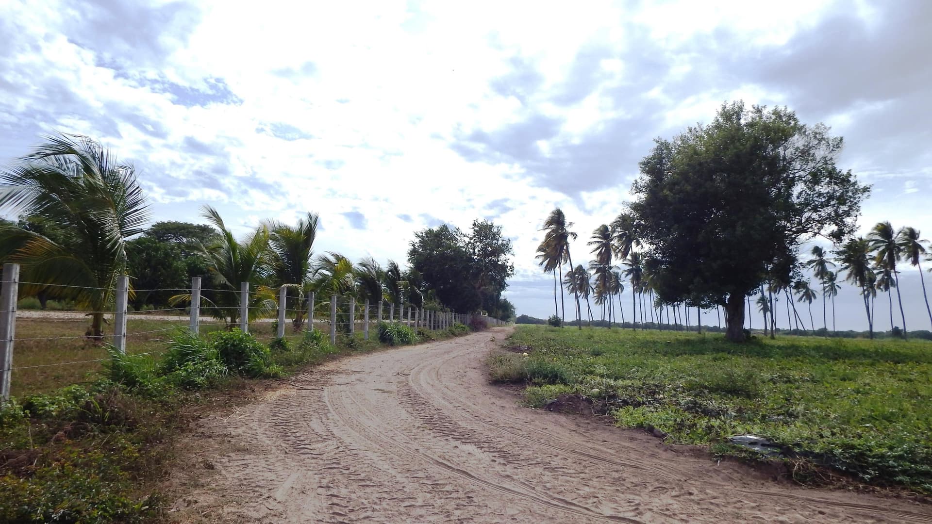 Lote 1 y 2 Carretera 200 16