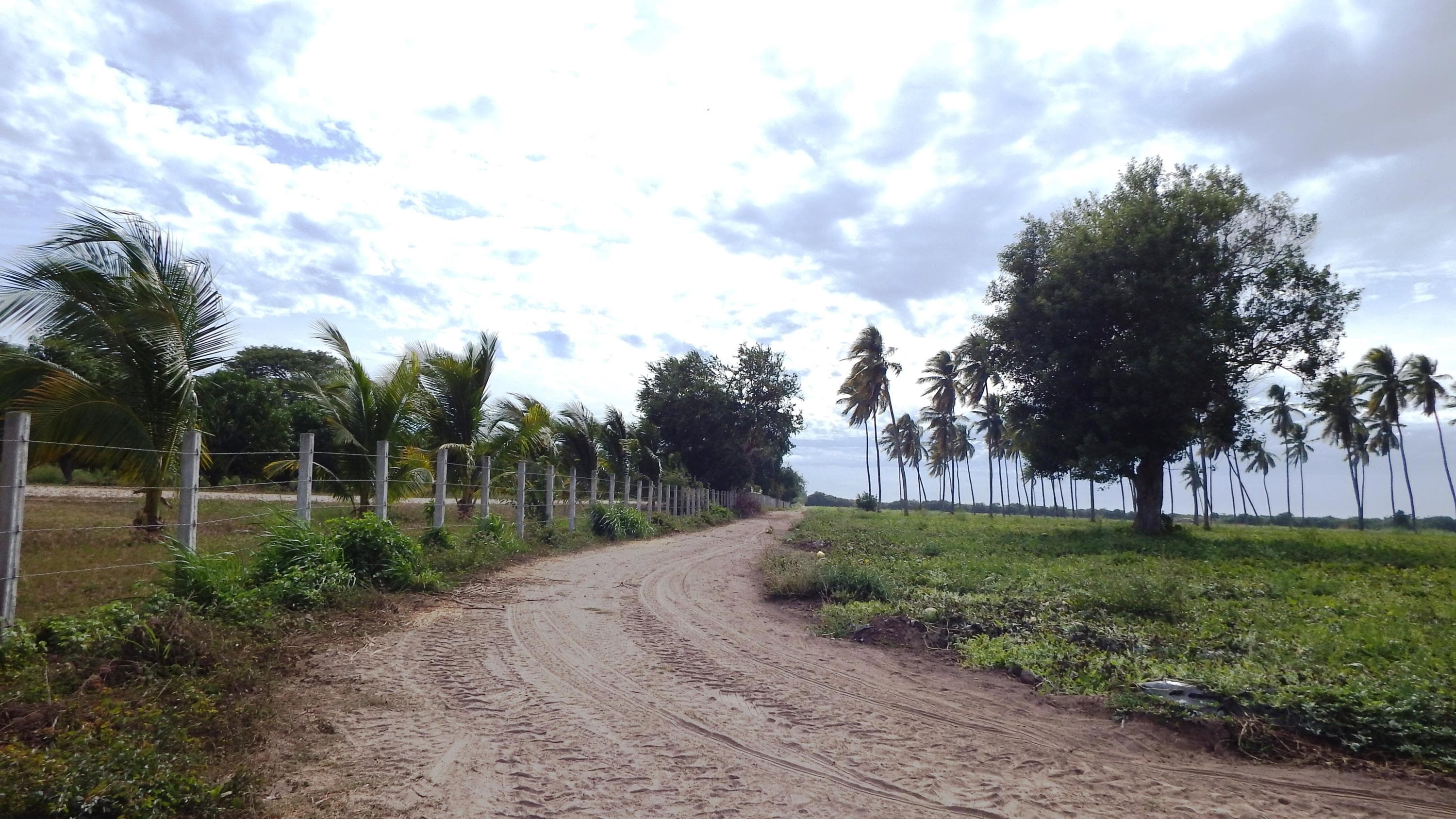 Lote 1 y 2 Carretera 200 16