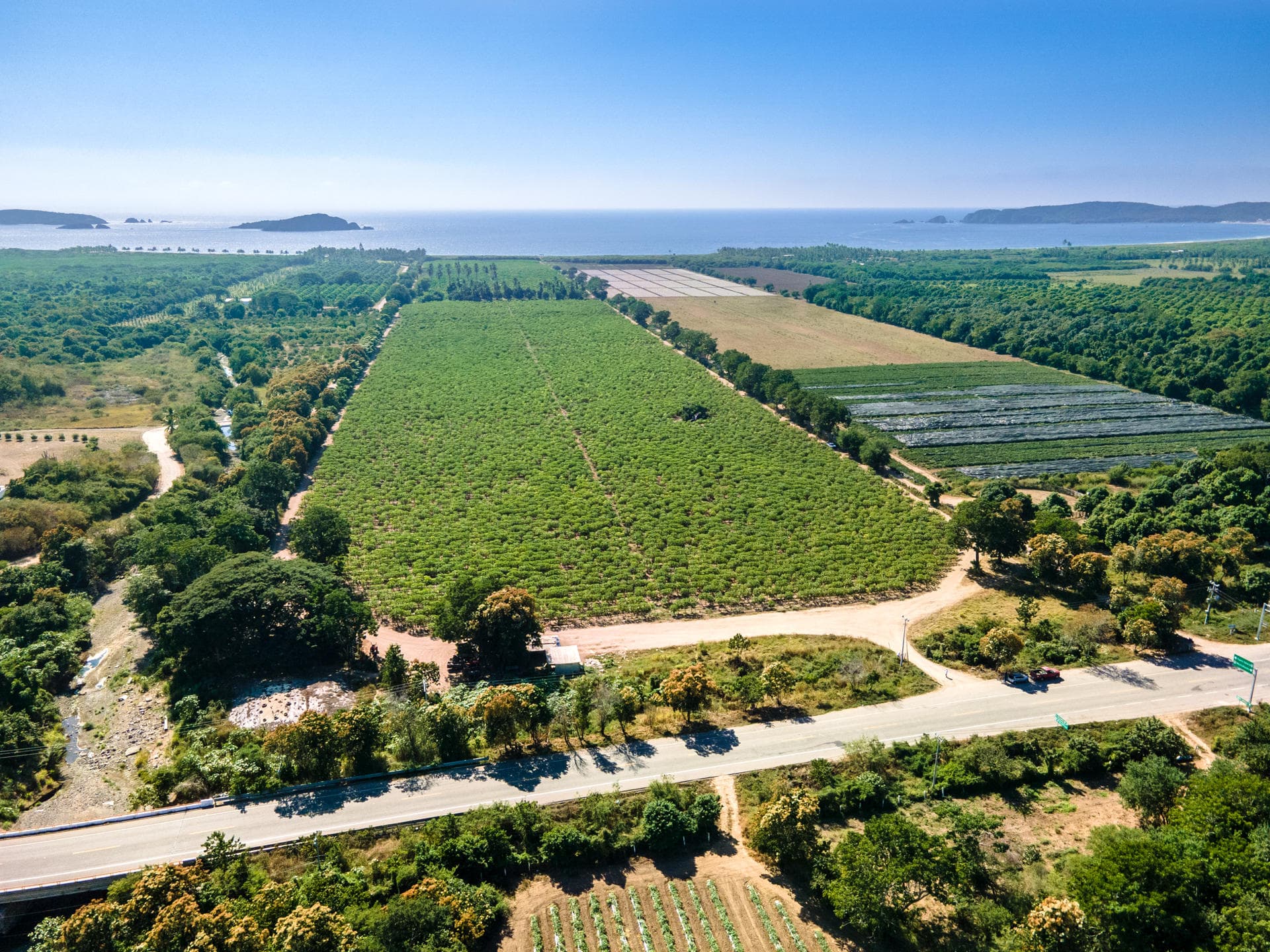 Lote 1 y 2 Carretera 200 18