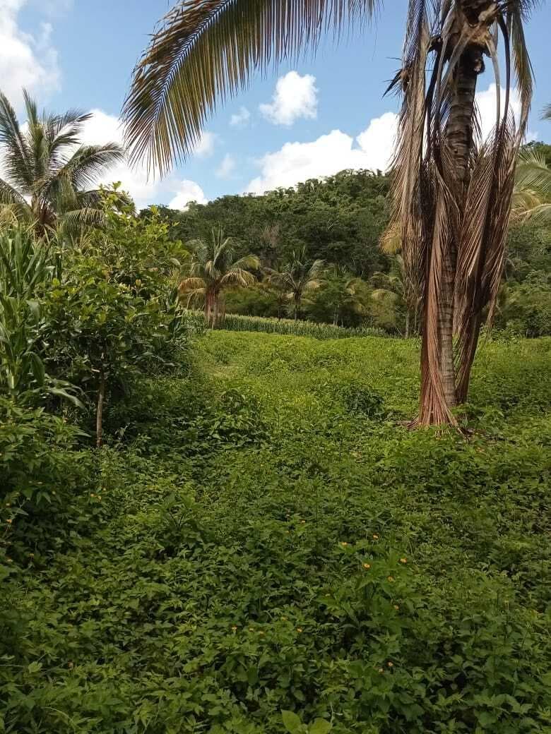 n/a Villa Morelos 2