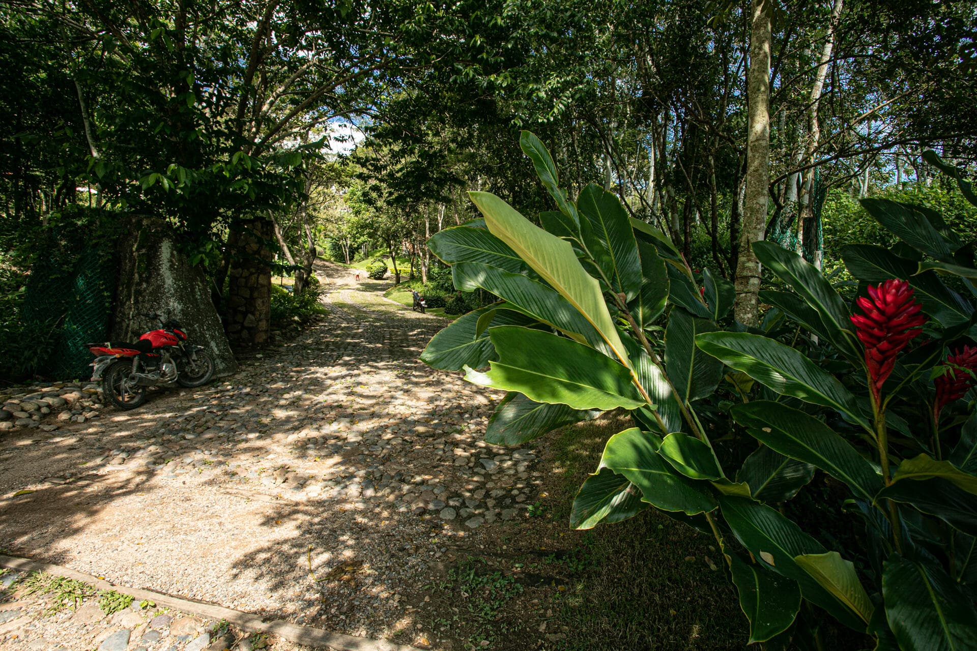 207 Carretera Tuito-Chacala 18