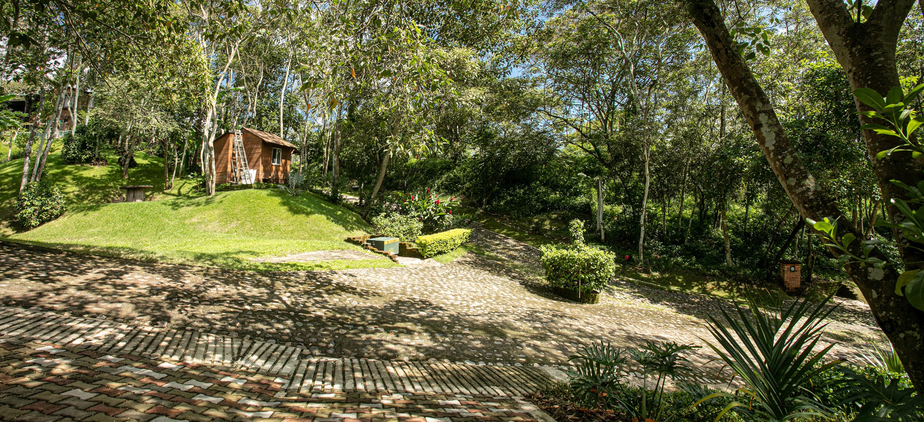 207 Carretera Tuito-Chacala 15