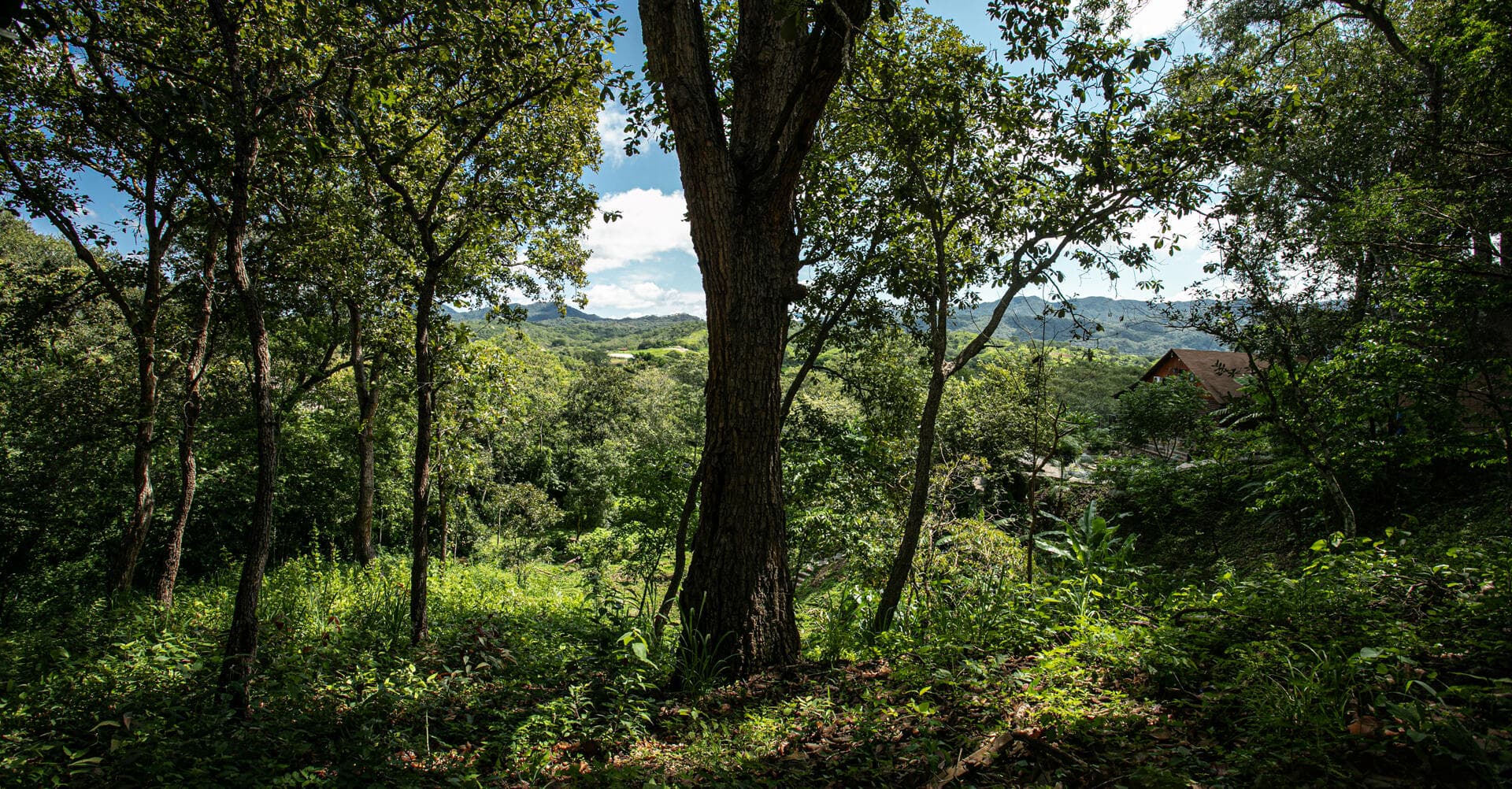 207 Carretera Tuito-Chacala 8