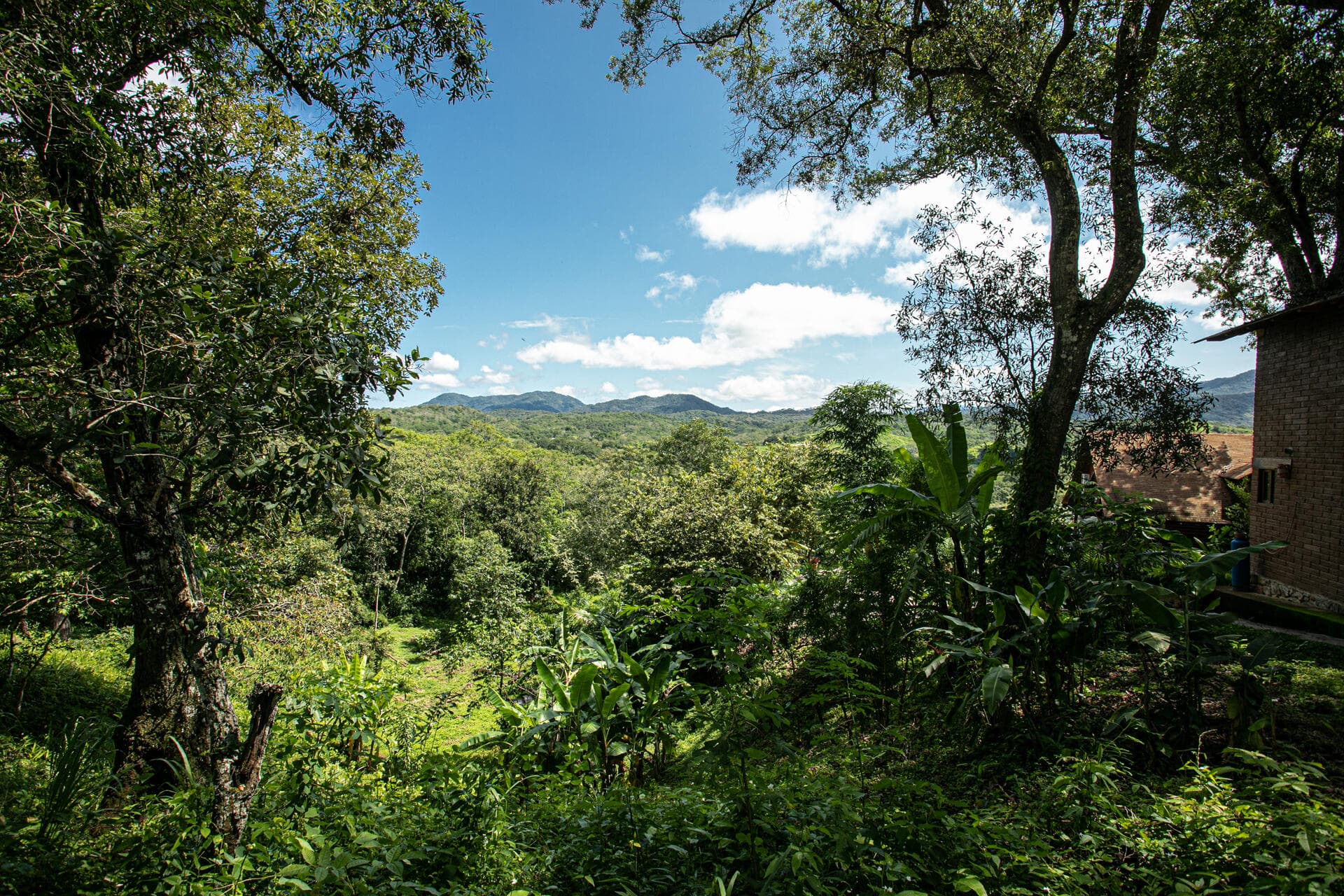 207 Carretera Tuito-Chacala 25