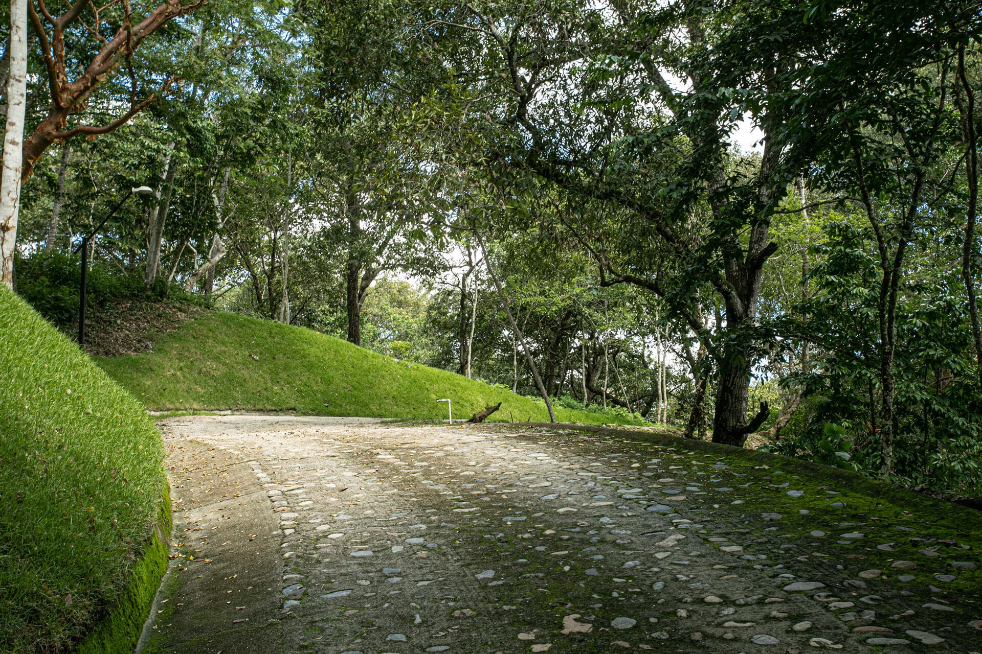 207 Carretera Tuito-Chacala 38