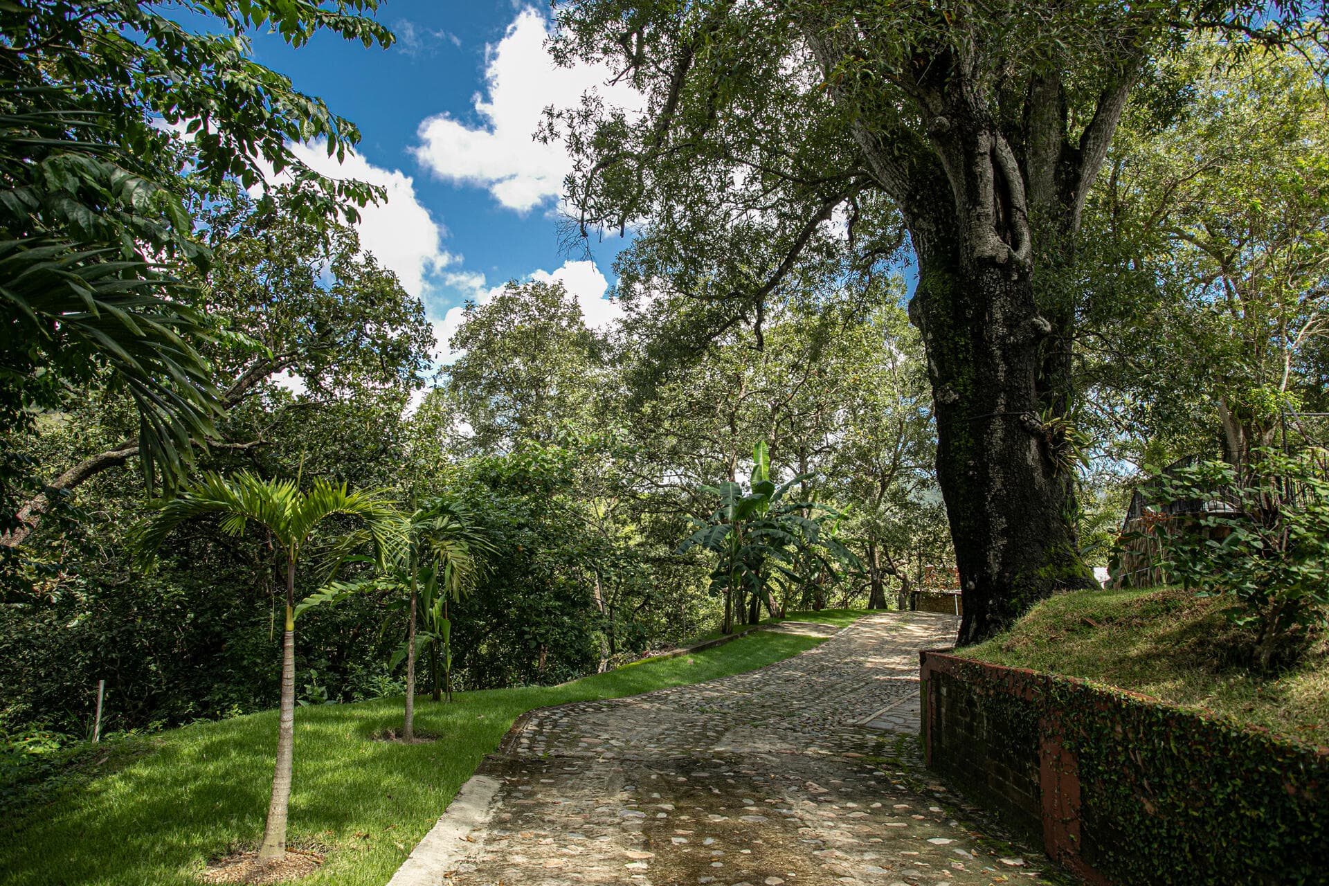 207 Carretera Tuito-Chacala 29