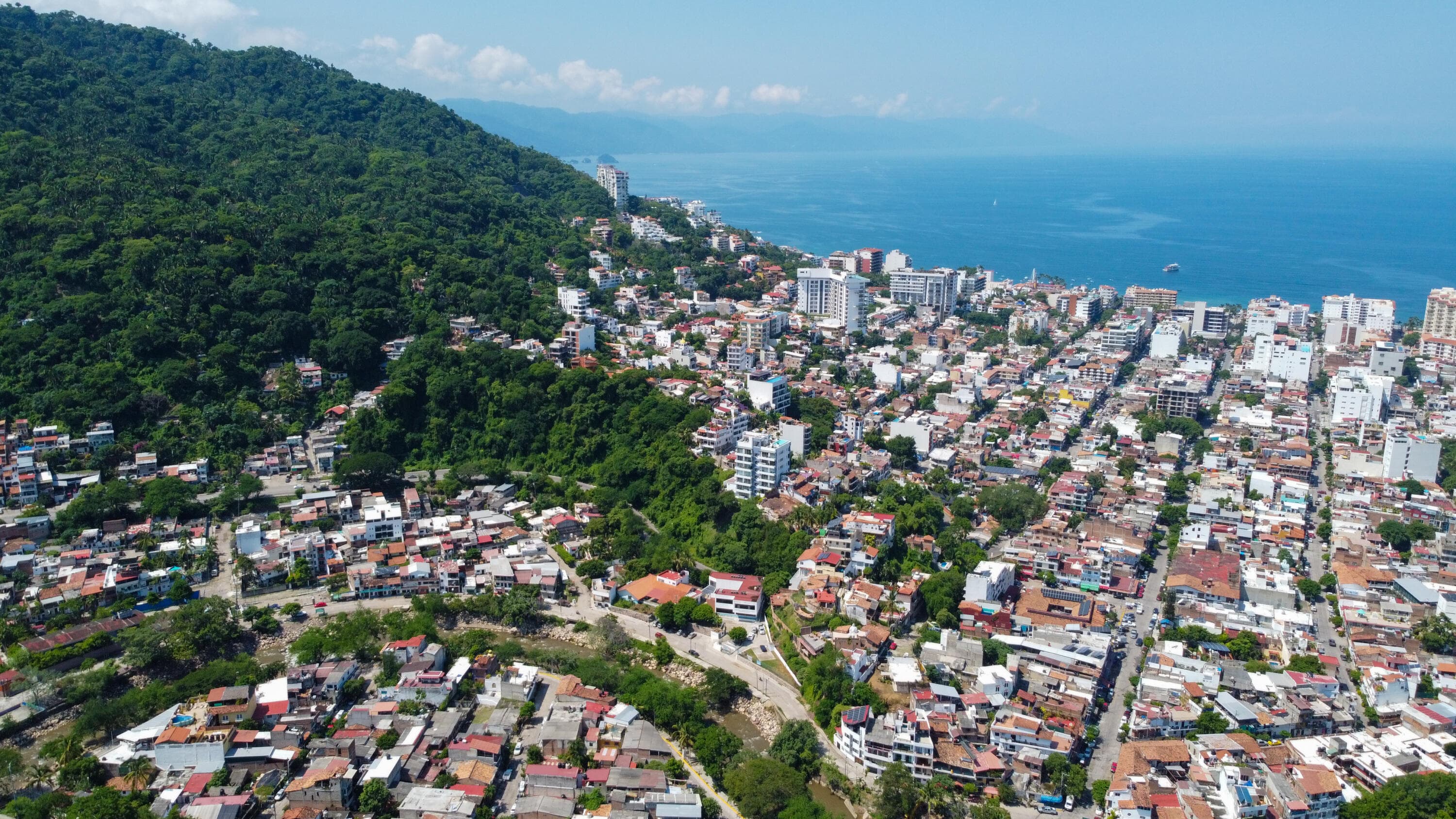 423 Camichin A 8