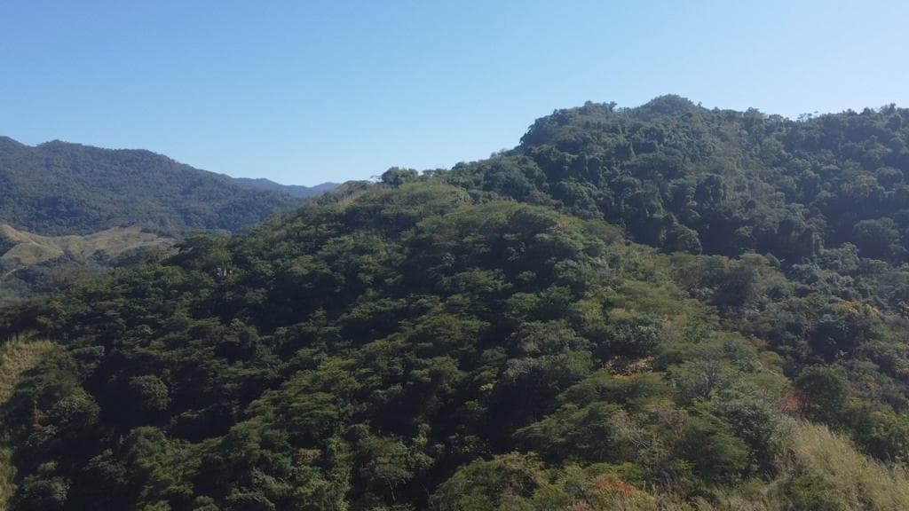 n/a Villa Morelos 4
