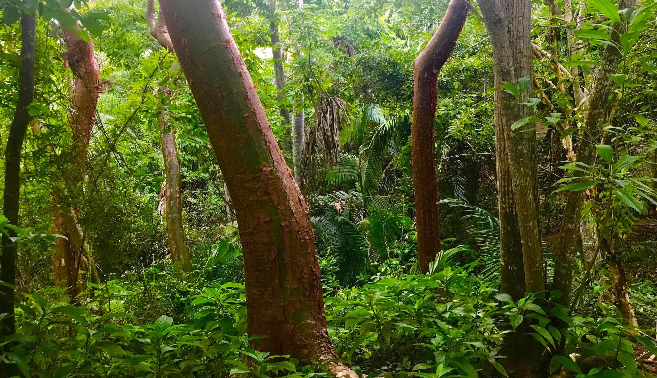 340 Camino A Haramara Poniente 14