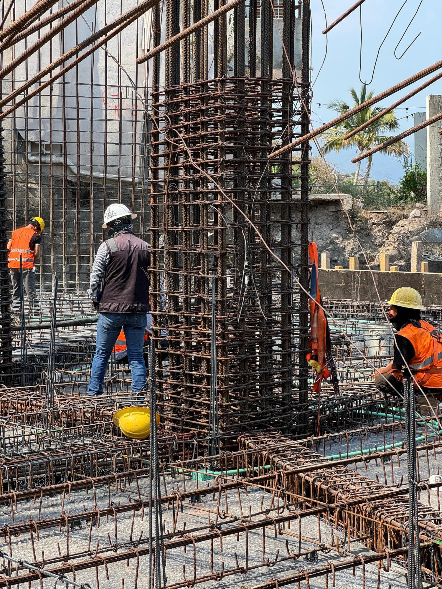 799 Lirios 22