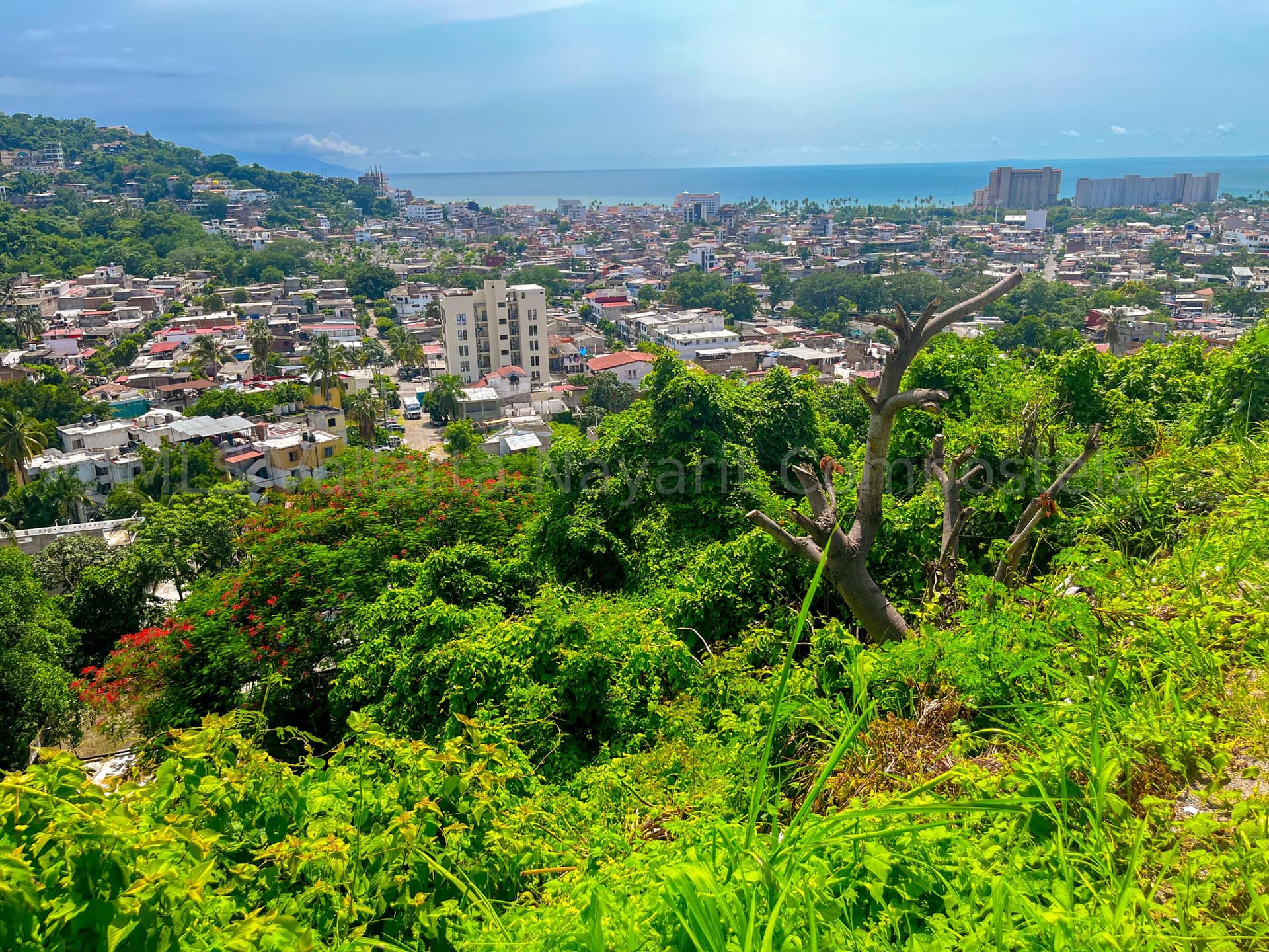 3A 7 8 14D RIO SUCHIATE 17