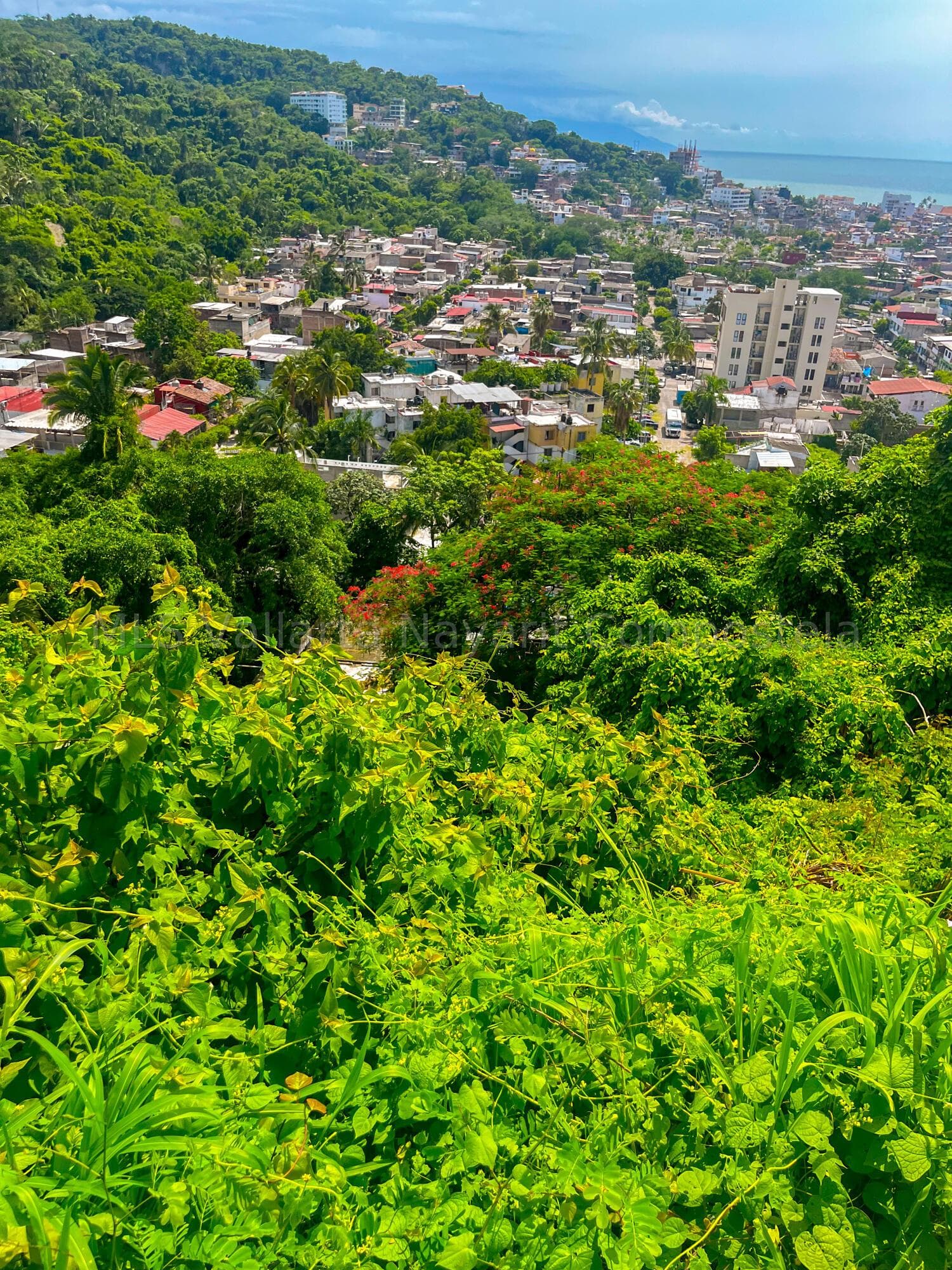3A 7 8 14D RIO SUCHIATE 27