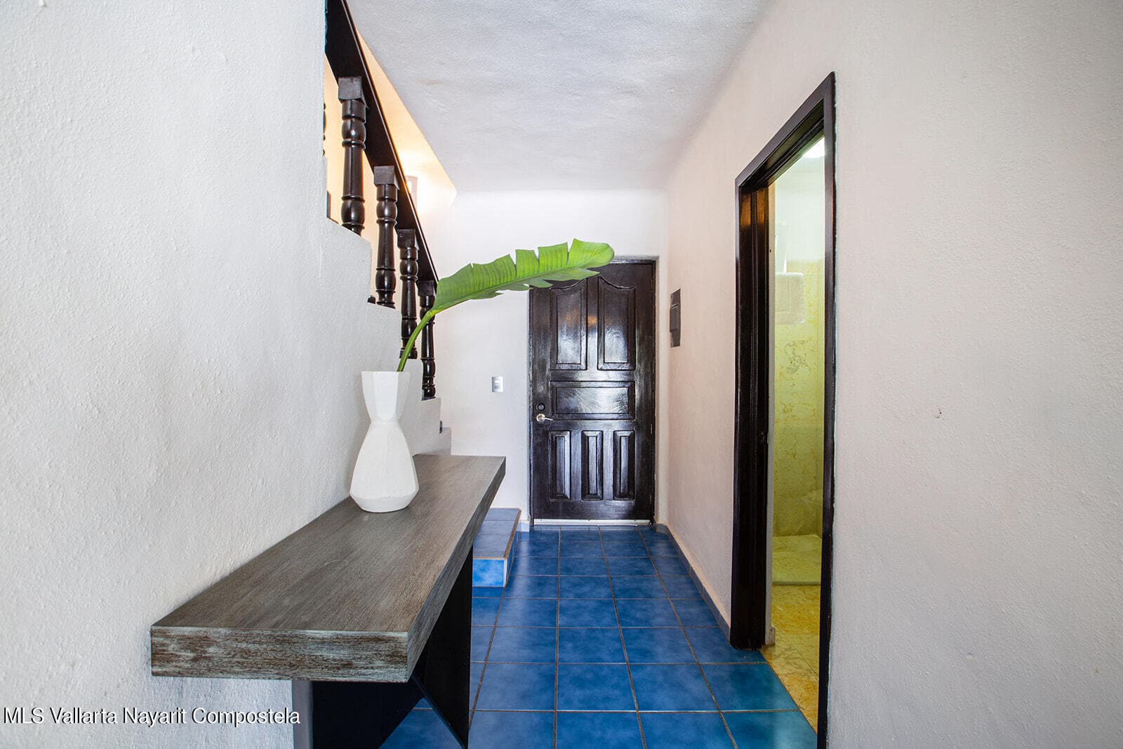 54 Paseo de los Cocoteros 14