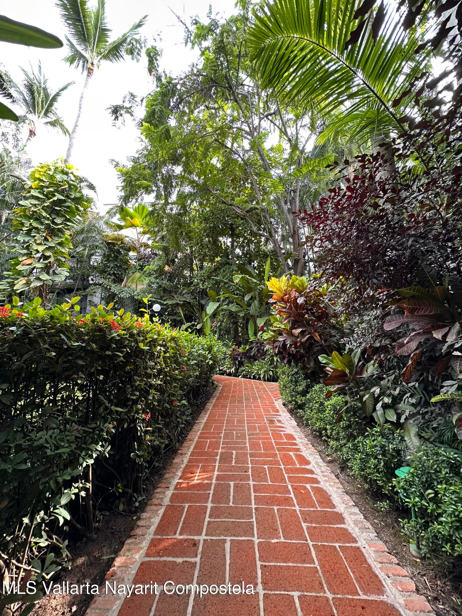 Marbella 38