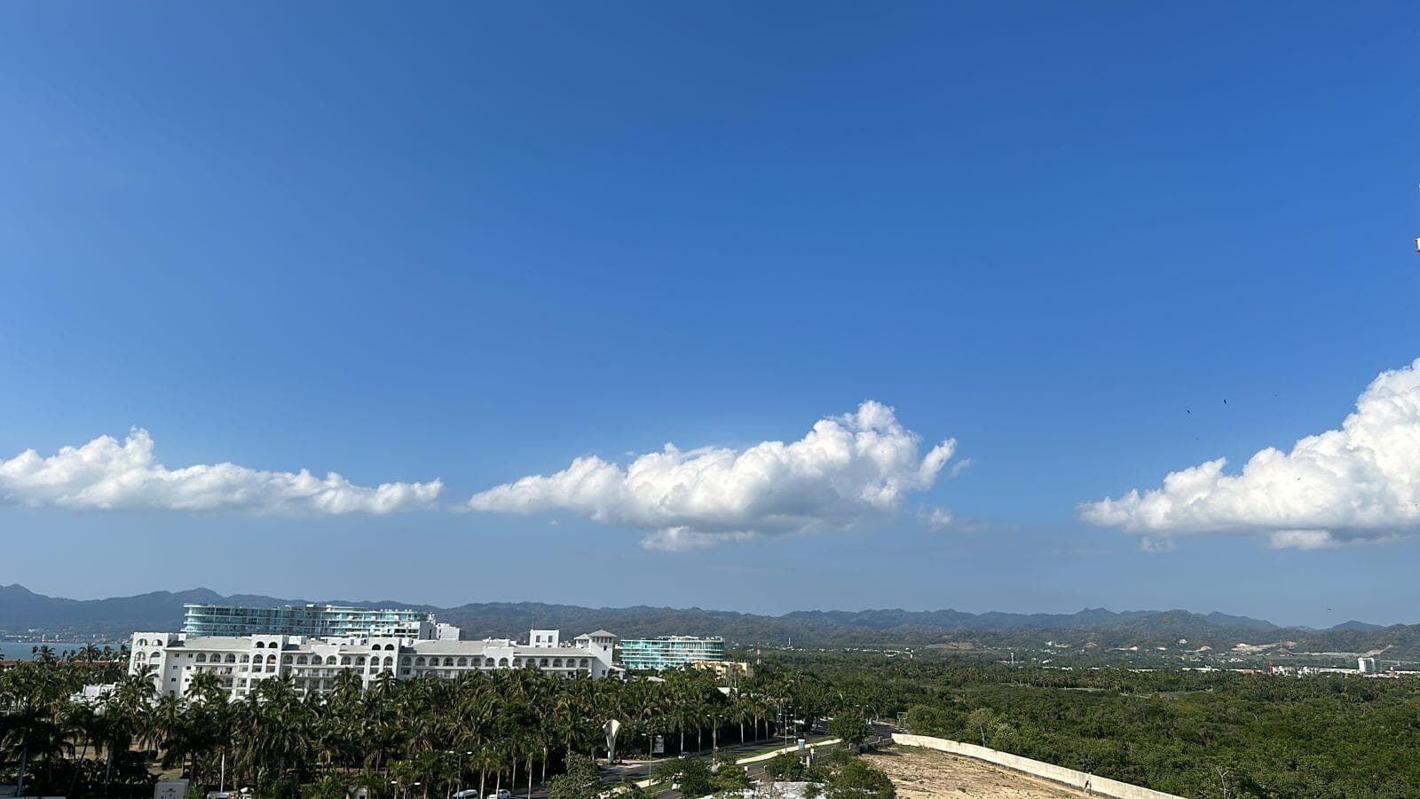 Flamingos Paradise 23
