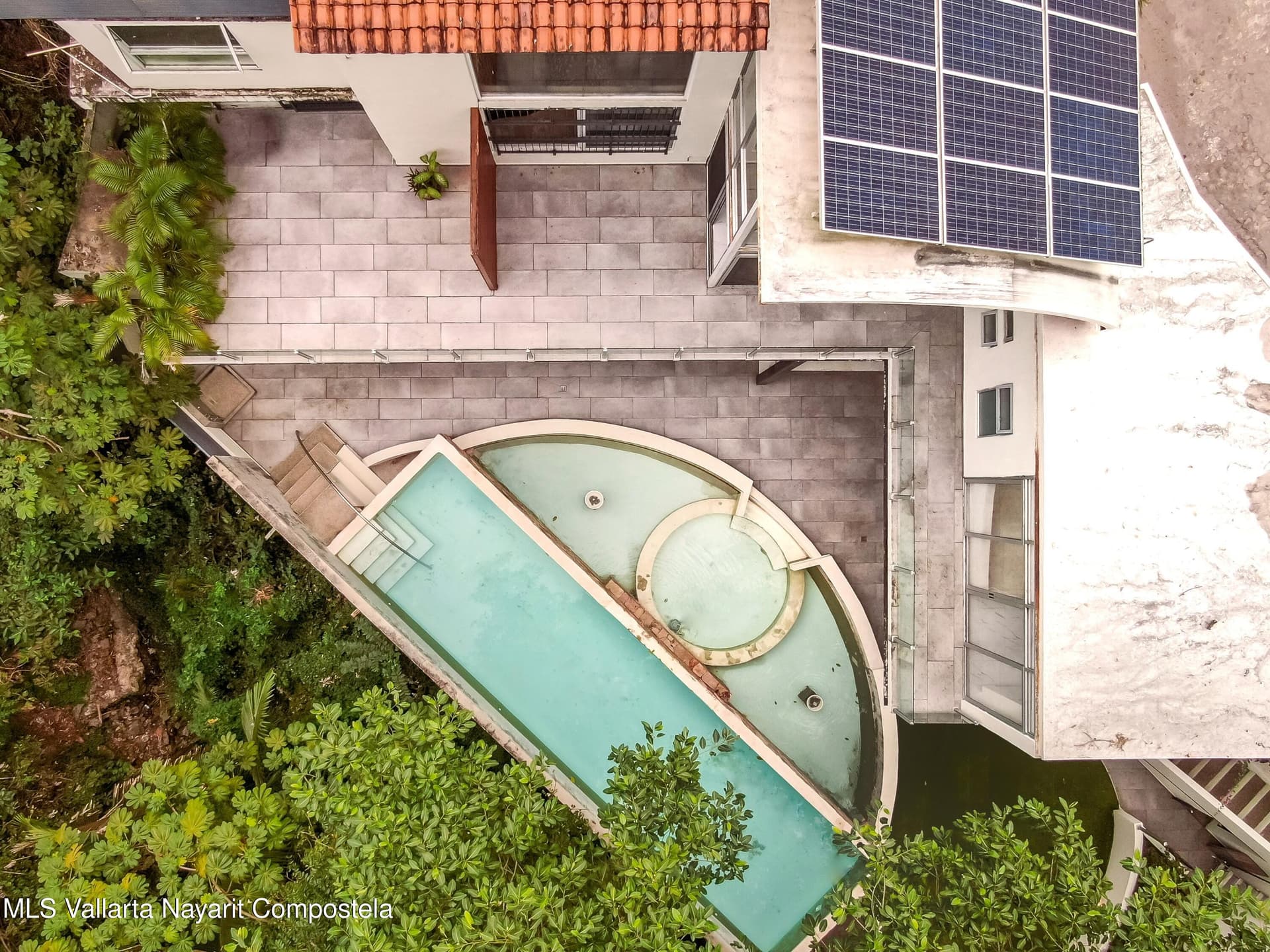 293 Gardenias 7