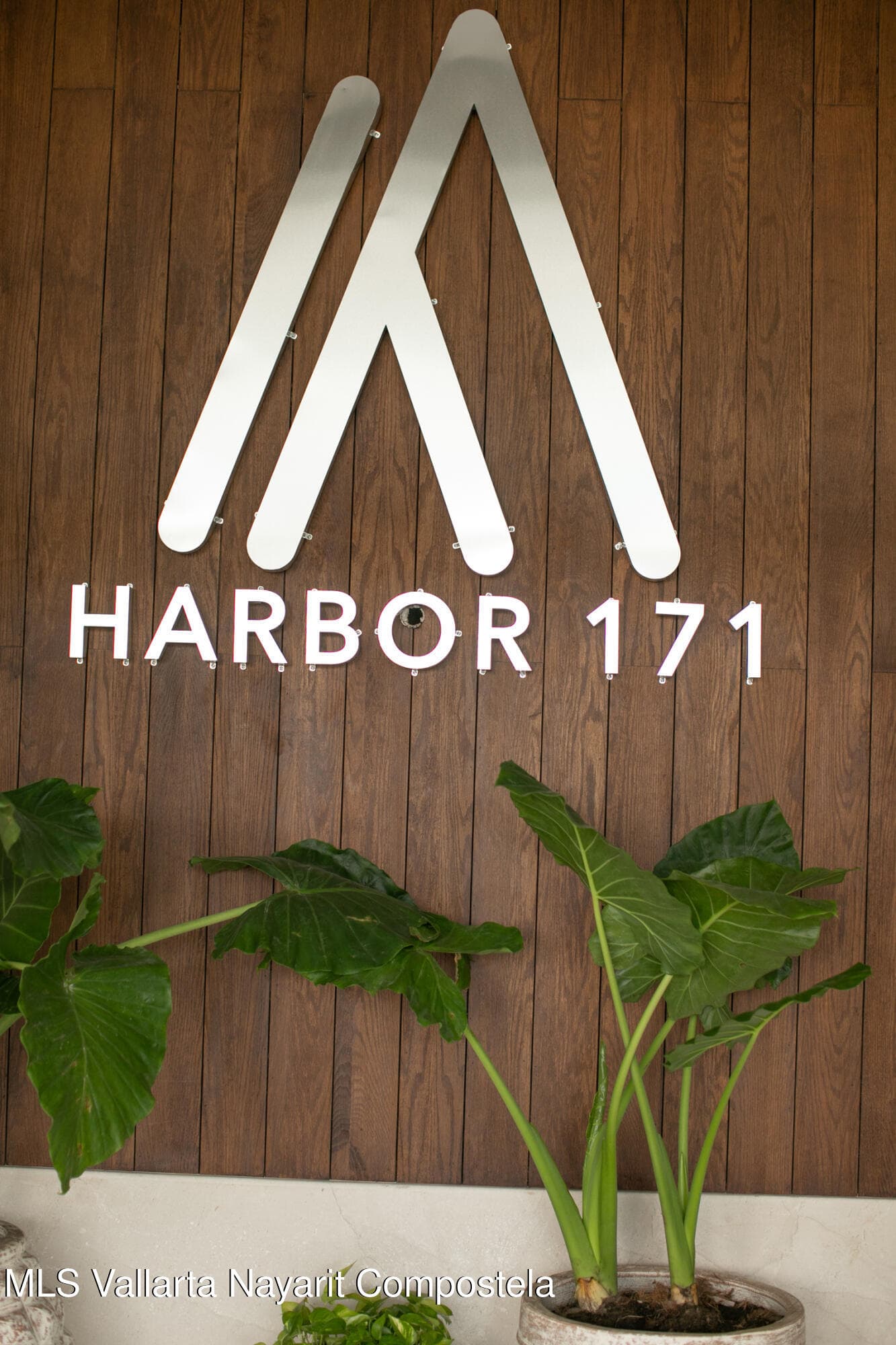 Harbor 171 37
