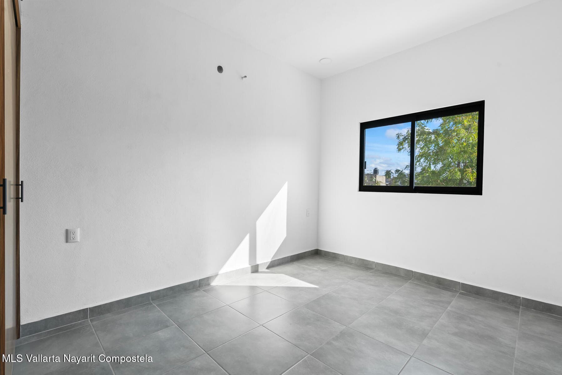 127 Palo de Rosa 3