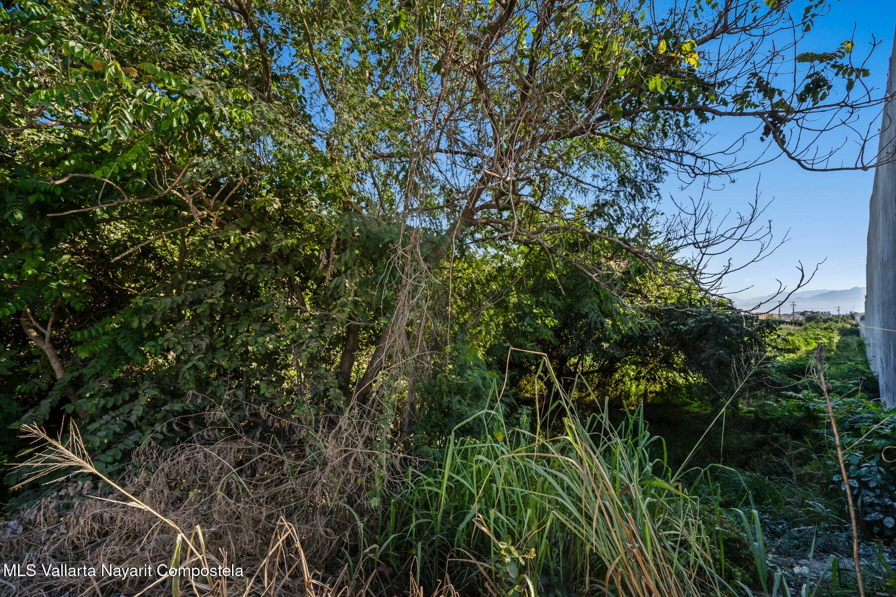 241 Blvrd Riviera Nayarit 10