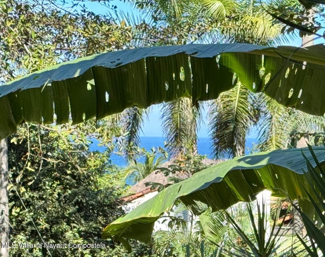 49 Gabriel Rodriguez 34