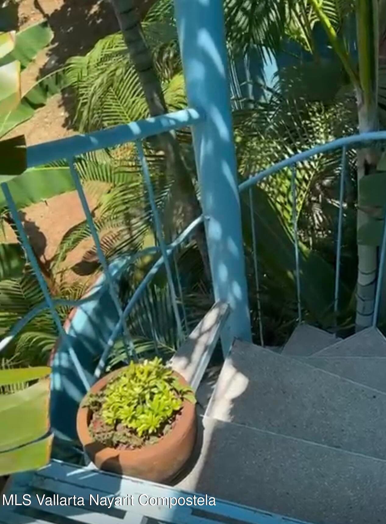 49 Gabriel Rodriguez 36