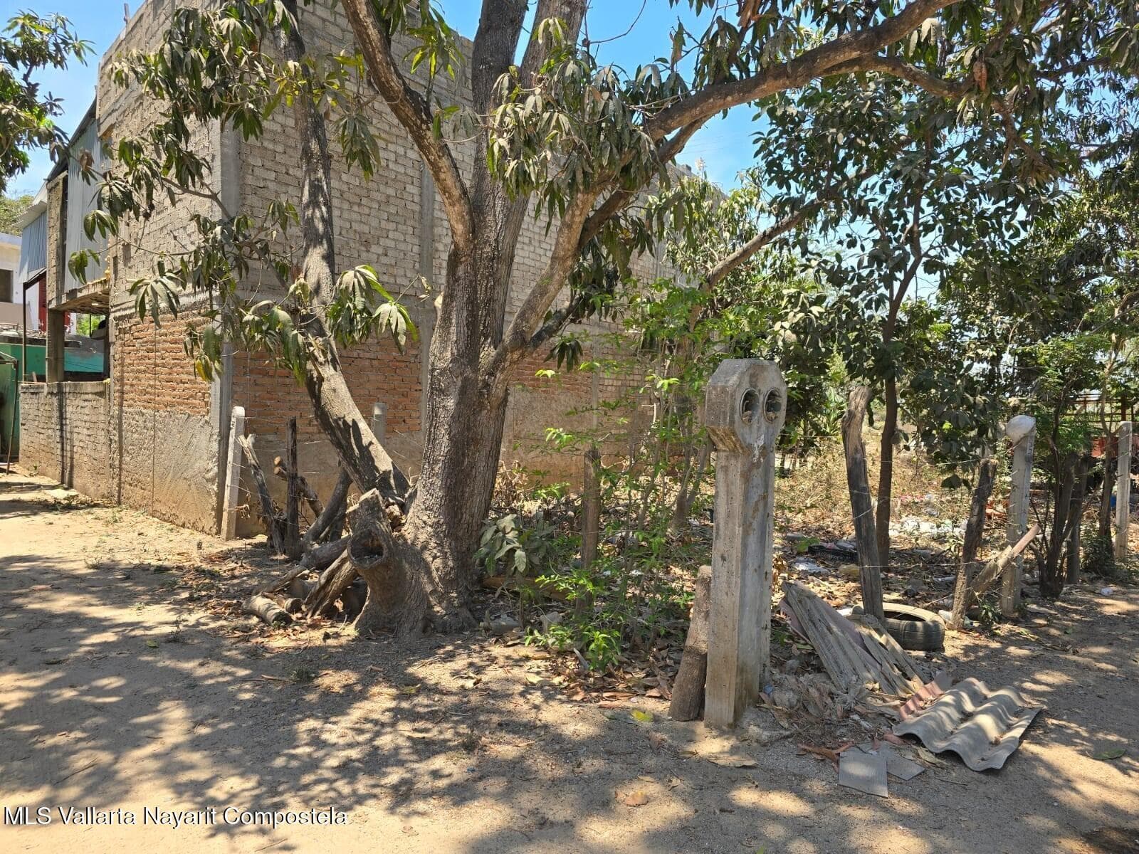 29 Isla Cedro esq. Av. Del Cereso 3