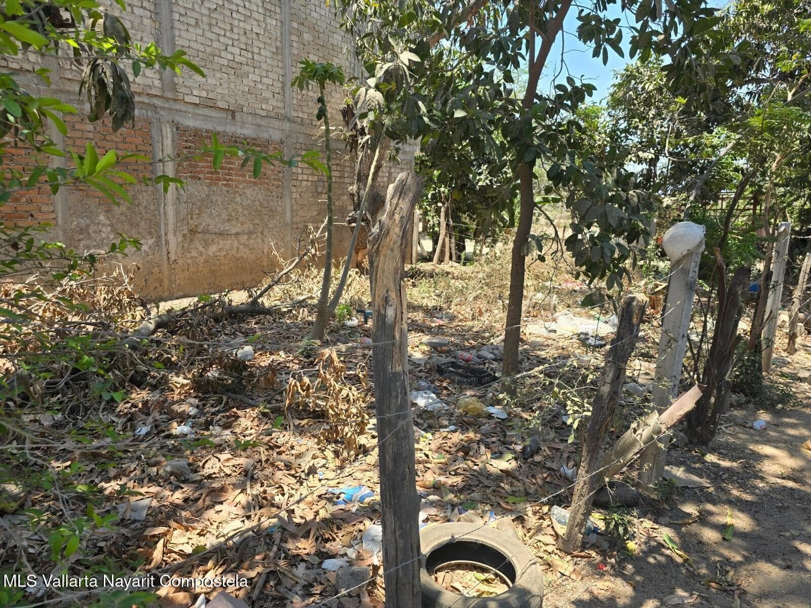 29 Isla Cedro esq. Av. Del Cereso 4