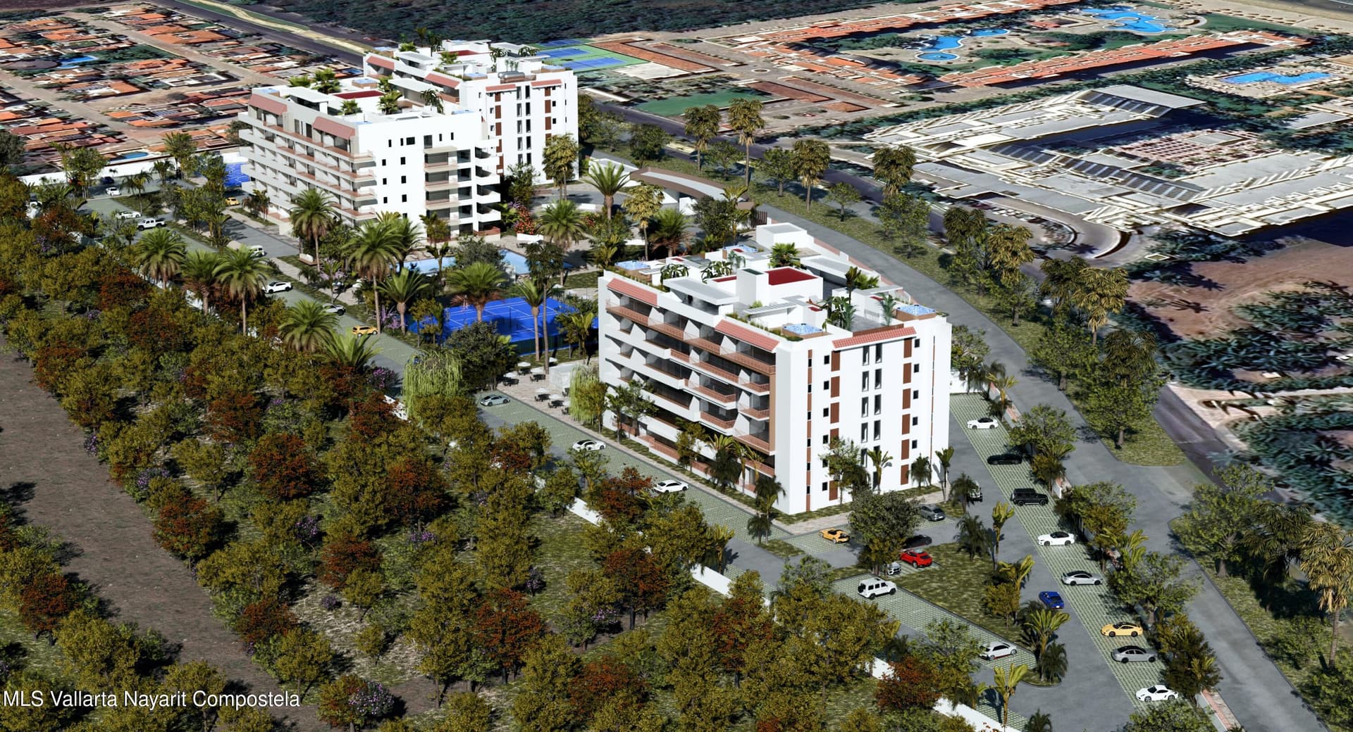 Flamingos Paradise 14