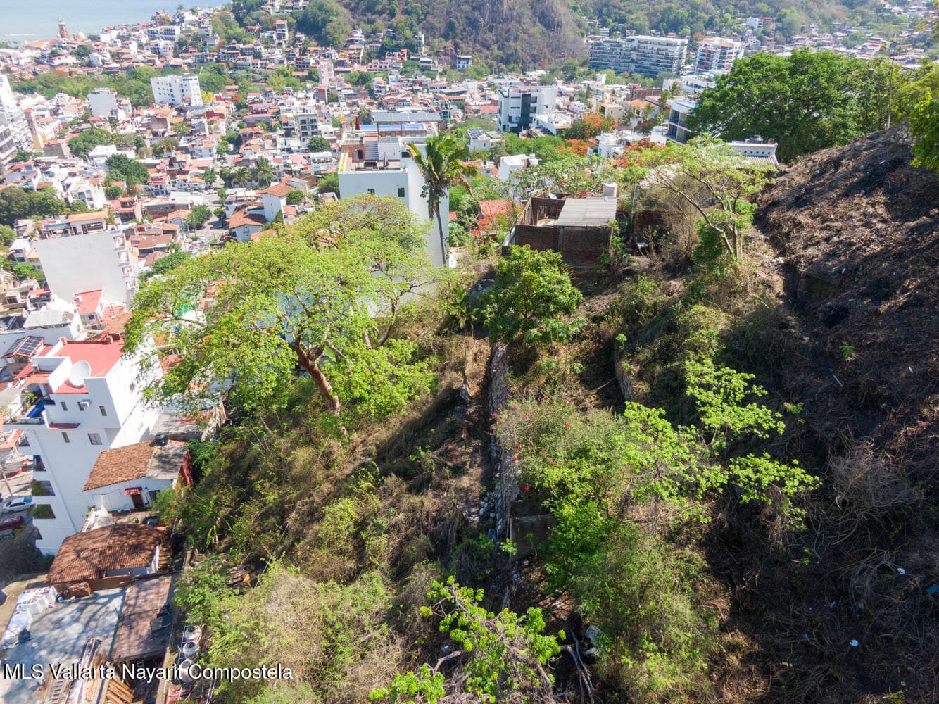 479 Cerrado Pilitas 11
