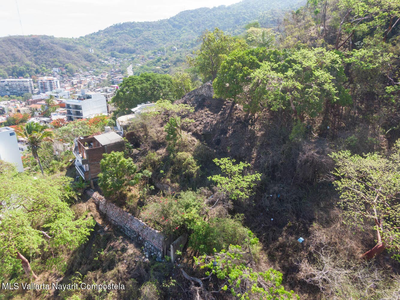 479 Cerrado Pilitas 13