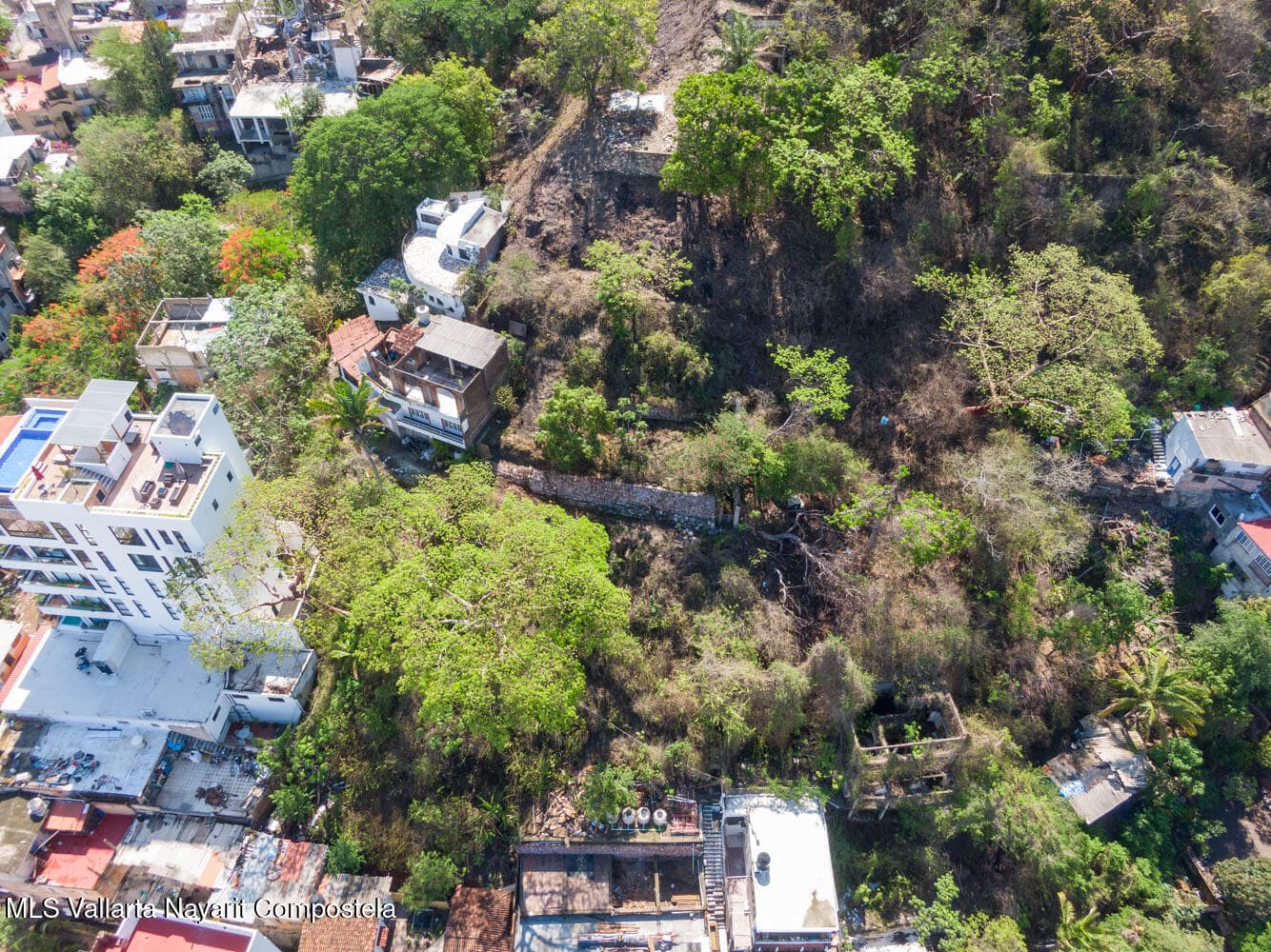 479 Cerrado Pilitas 15