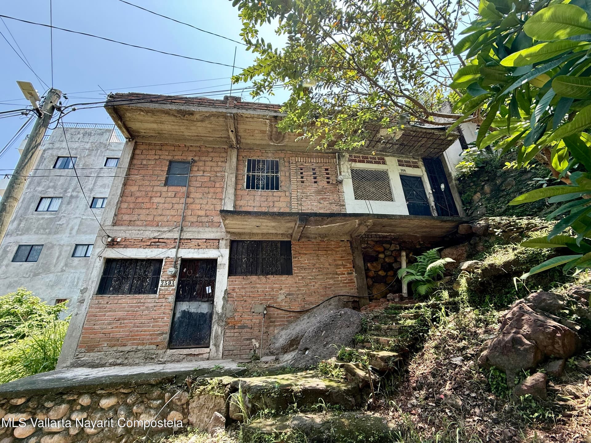359 Naranjo 5
