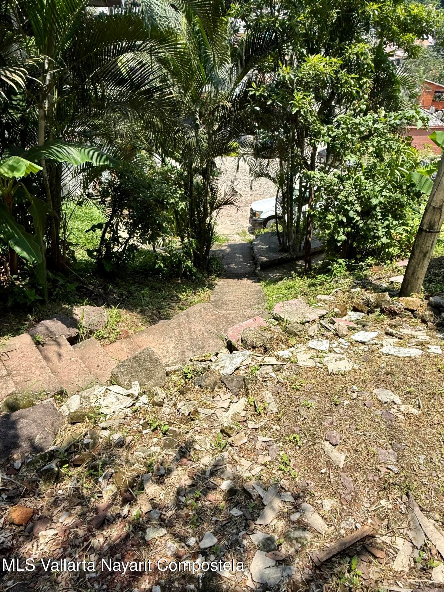 359 Naranjo 8