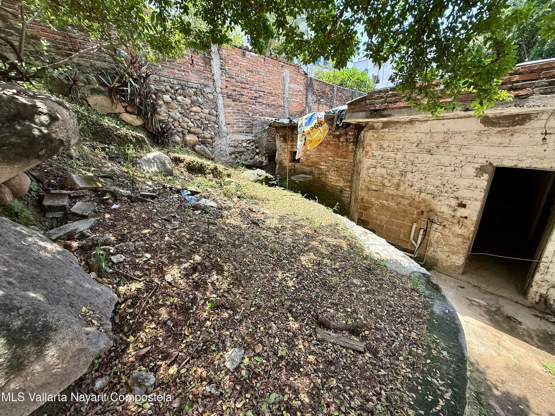 359 Naranjo 12