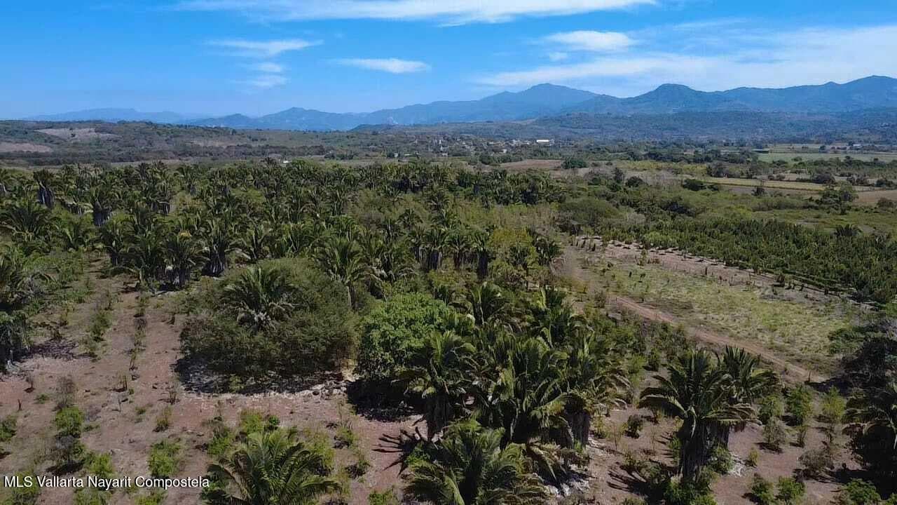 KM 80 CARRETERA FEDERAL 200 TEPIC-PU 4