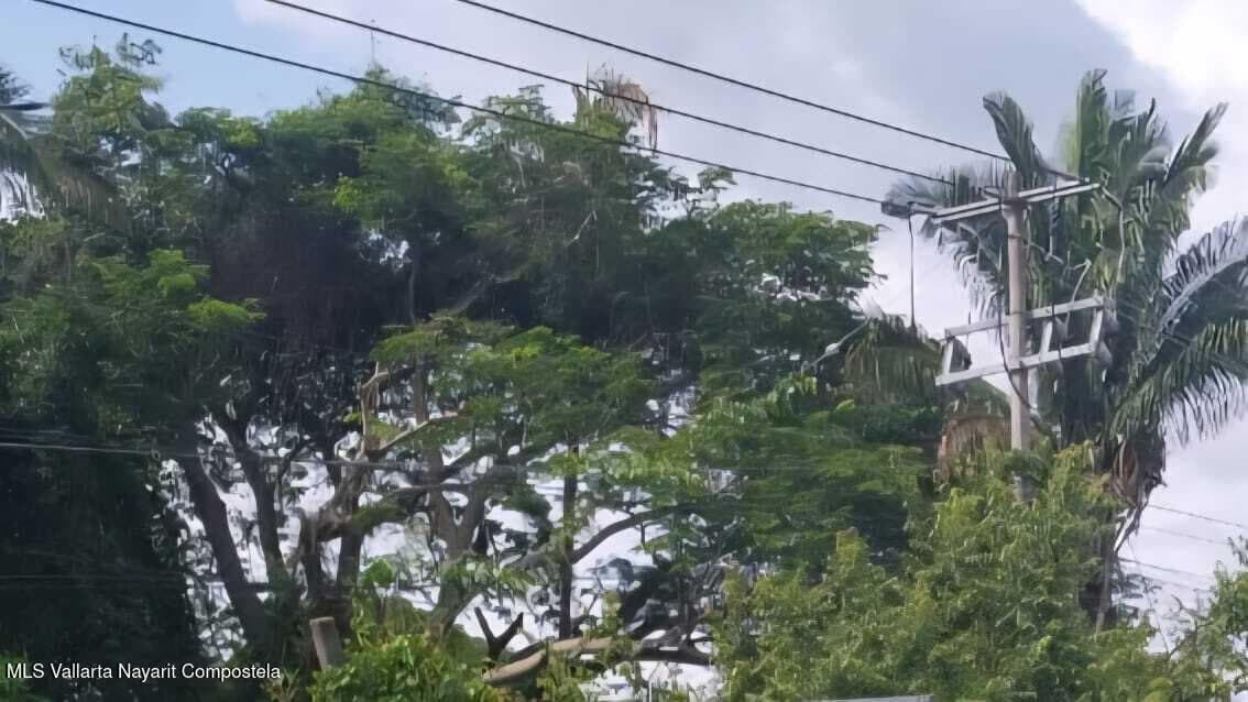 KM 80 CARRETERA FEDERAL 200 TEPIC-PU 5