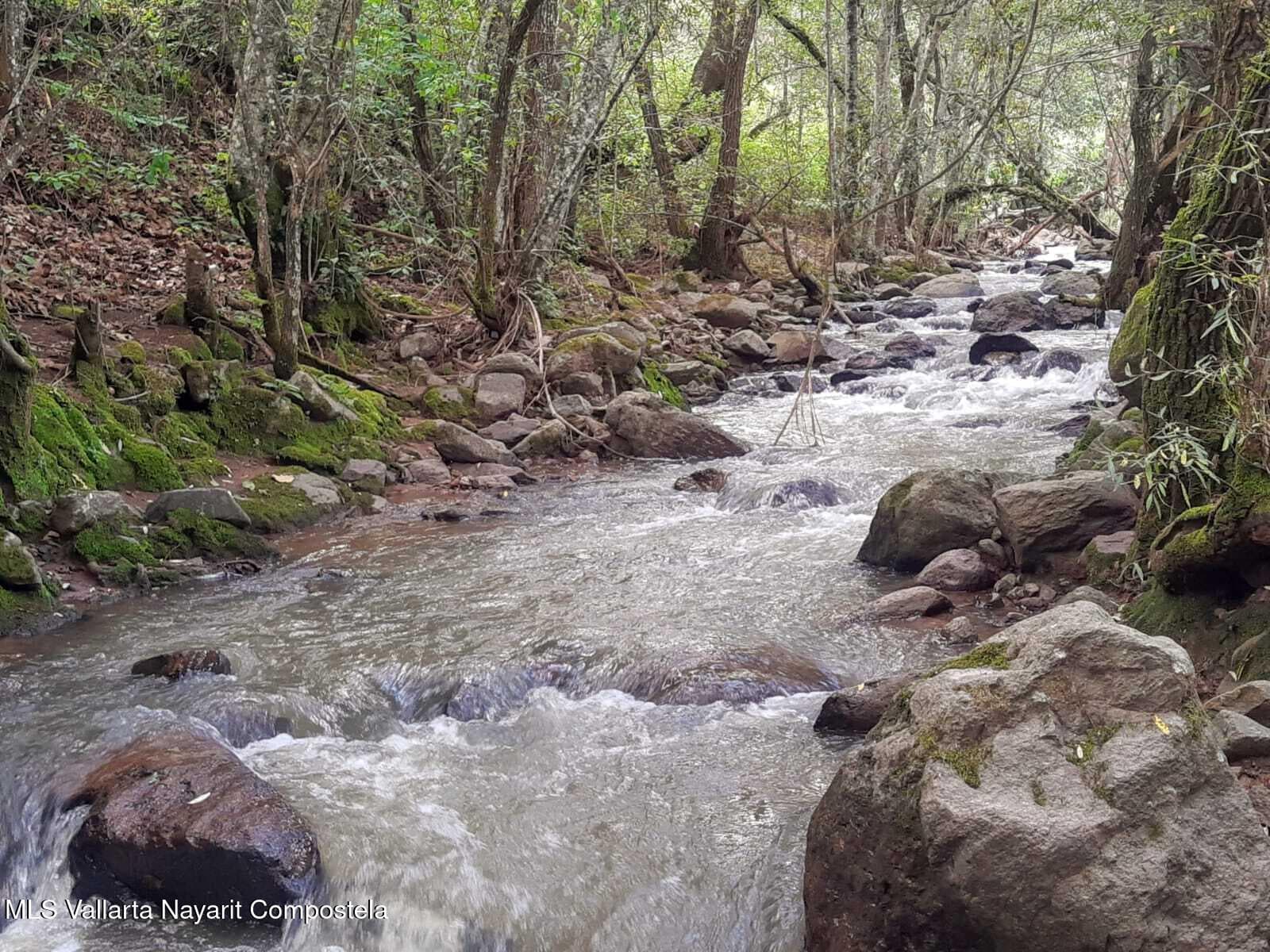 N/A ''Cumbre Verde'' 2