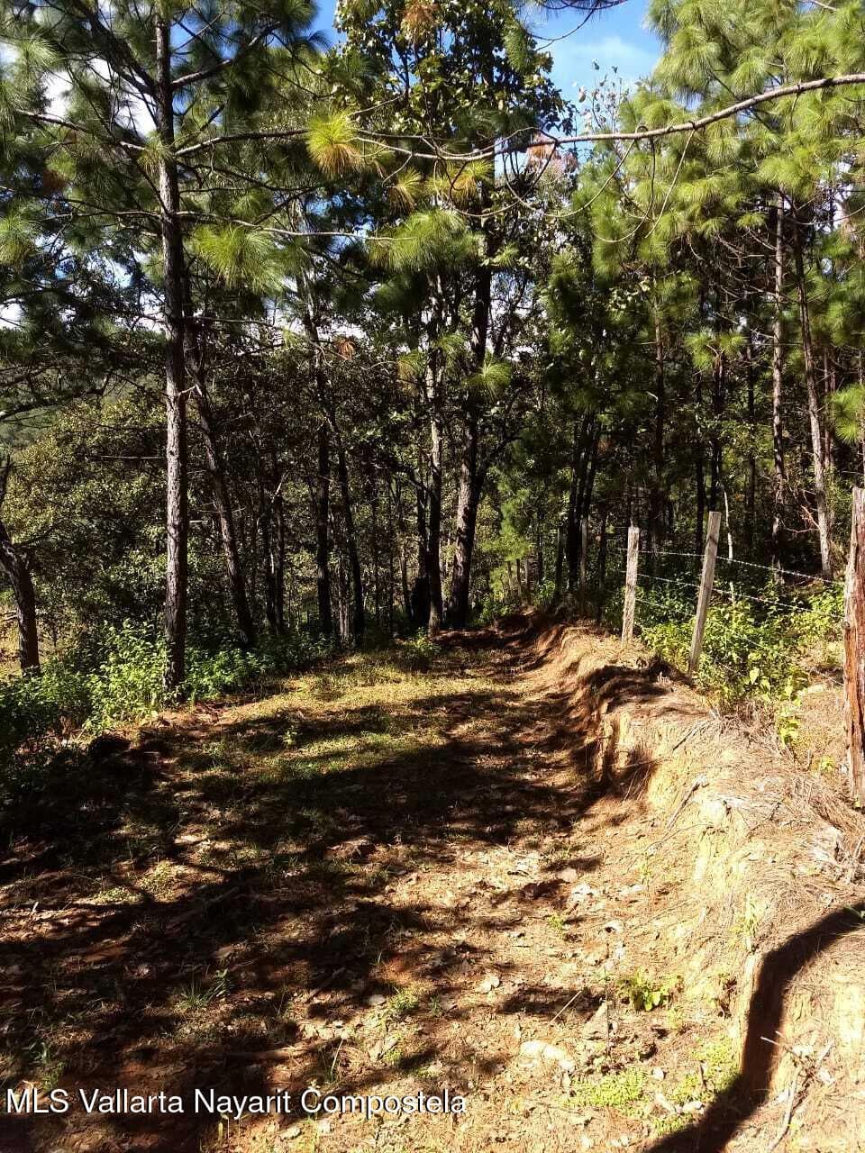 N/A ''Cumbre Verde'' 9