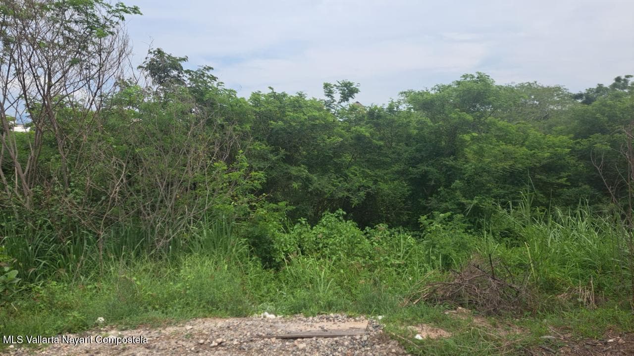 23 Del Puerto 3