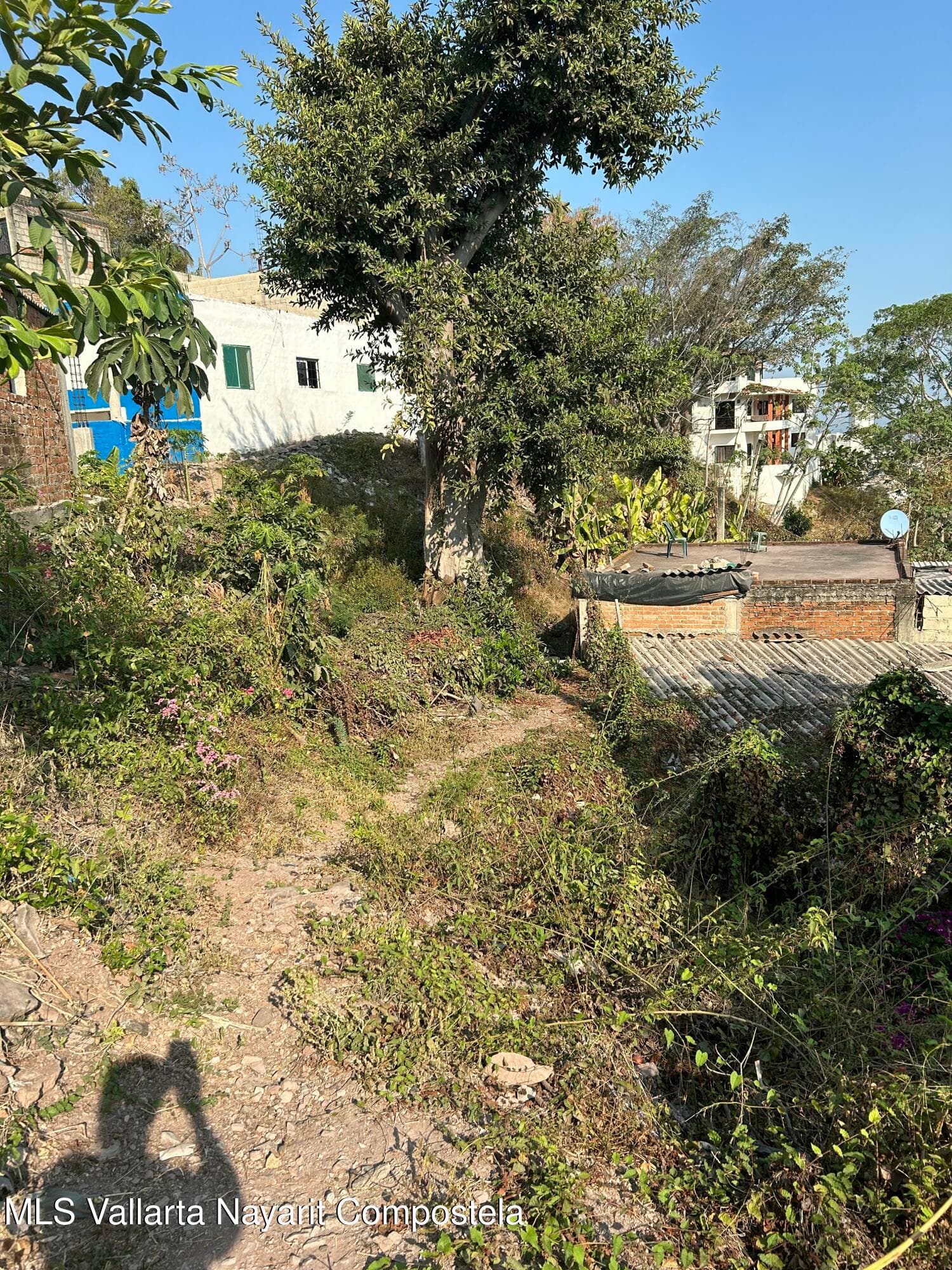 SN Rio Papaloapan 6