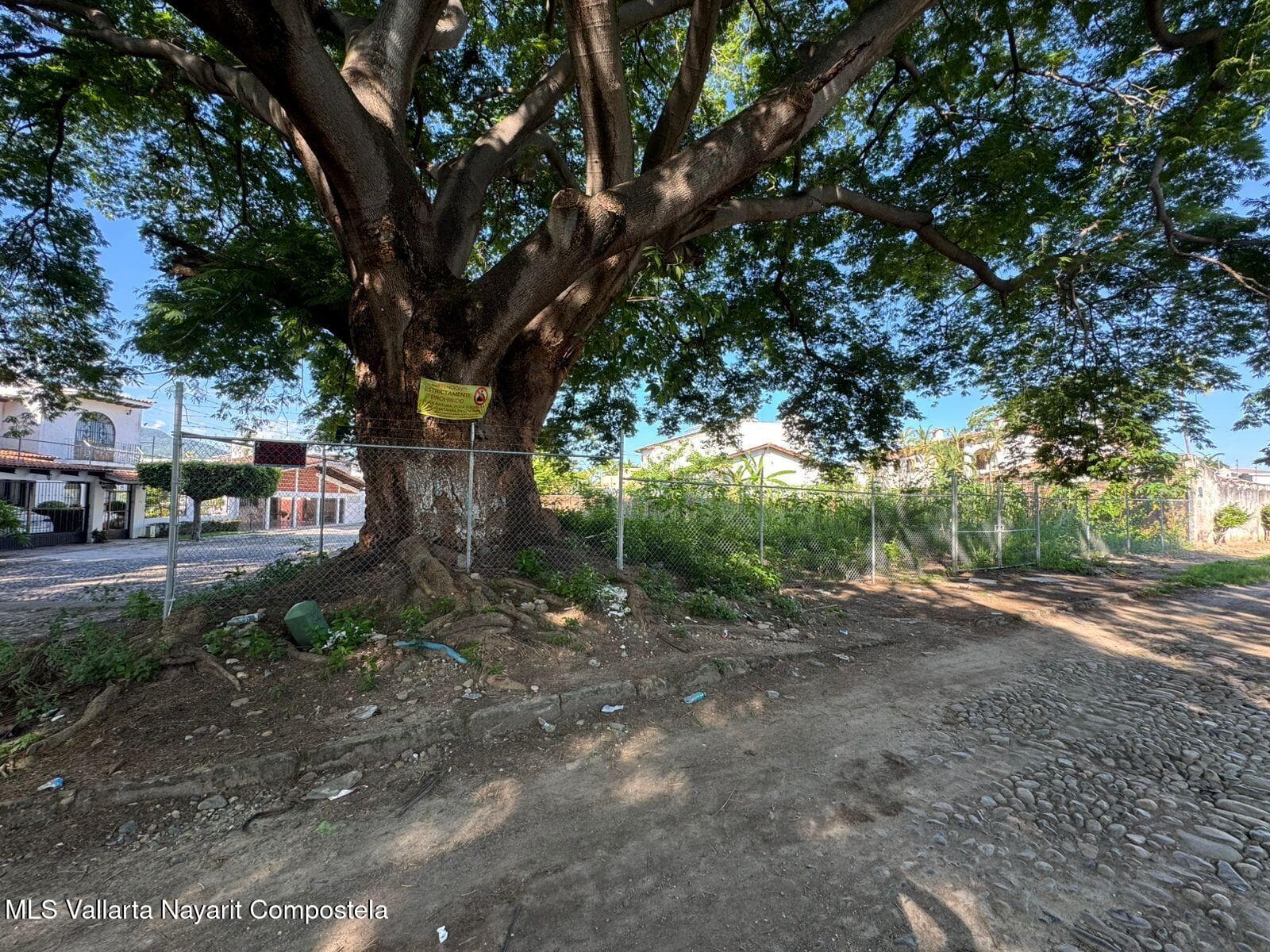 LT2 MZN231 PEZ VELA ESQ. PEZ VOLADOR 18