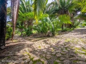 02 VISTA ENCANTADA CALLE 7