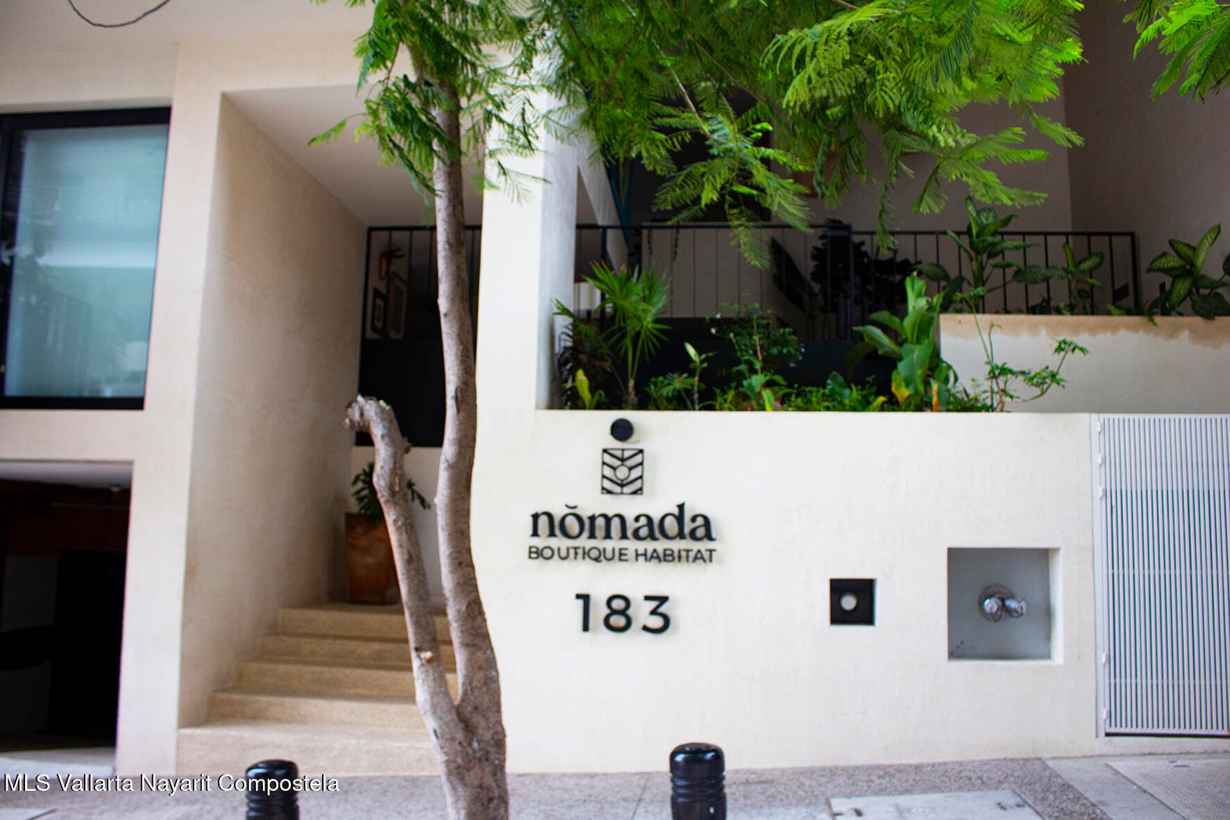 Nomada 8