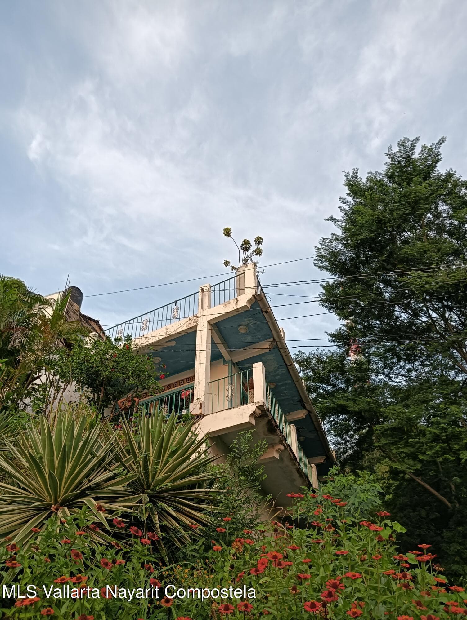 582 ANDADOR ECUADOR 2