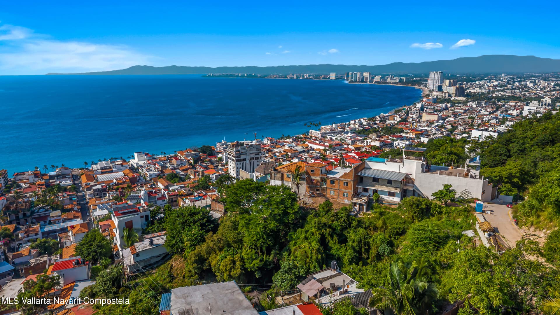582 ANDADOR ECUADOR 5