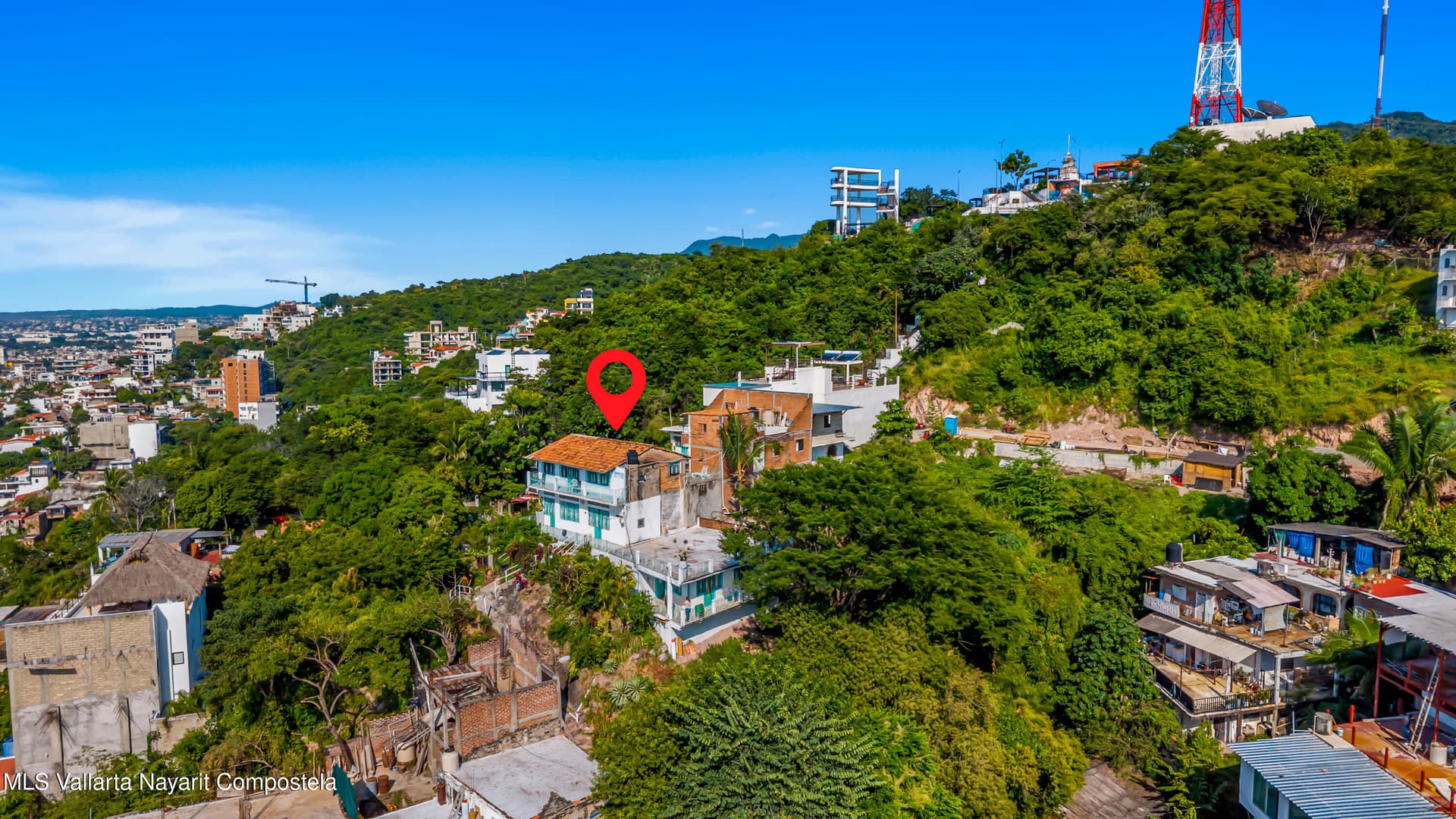 582 ANDADOR ECUADOR 7
