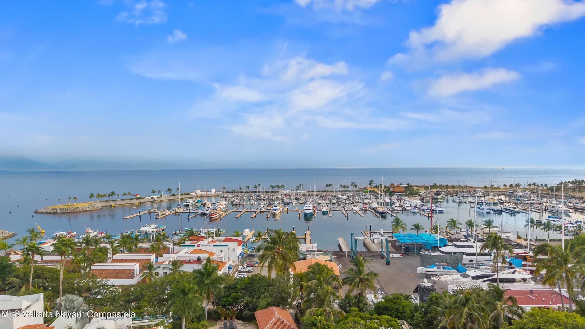 7 Pelicanos 11