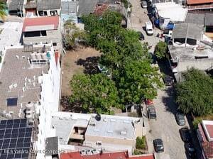 6 Coral Calle 3